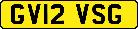 GV12VSG