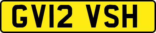 GV12VSH