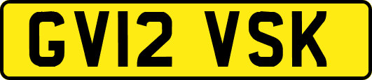 GV12VSK