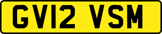 GV12VSM