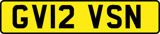 GV12VSN