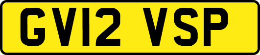 GV12VSP