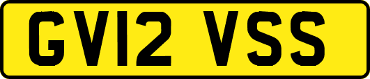 GV12VSS