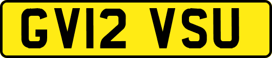 GV12VSU