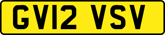 GV12VSV