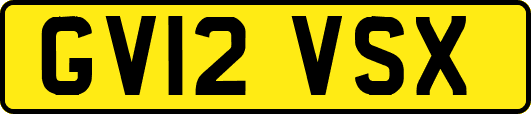 GV12VSX