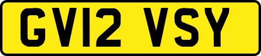 GV12VSY