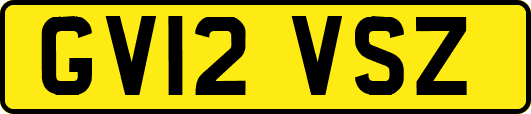GV12VSZ