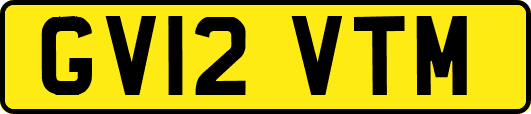 GV12VTM