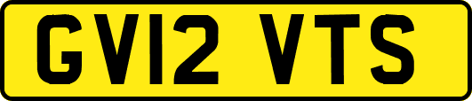 GV12VTS