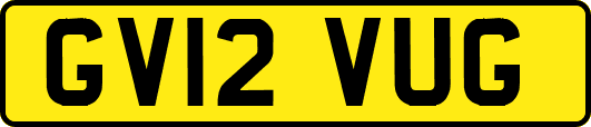 GV12VUG