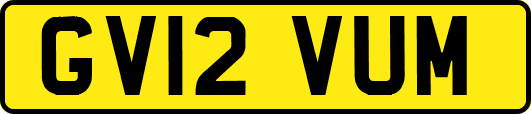 GV12VUM