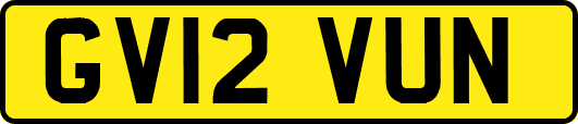GV12VUN