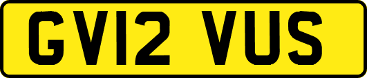 GV12VUS