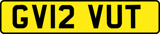 GV12VUT