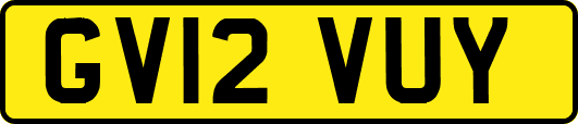 GV12VUY