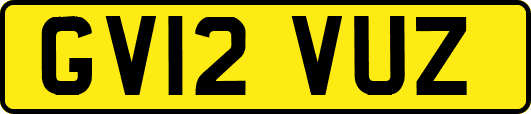 GV12VUZ