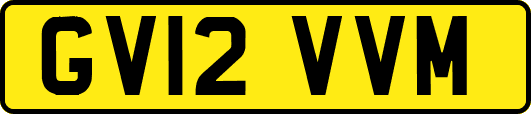 GV12VVM
