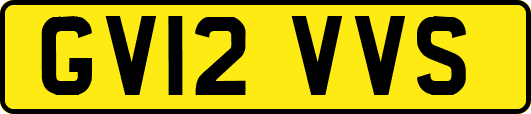 GV12VVS