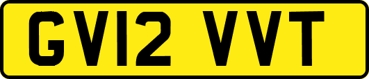 GV12VVT