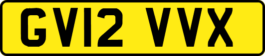 GV12VVX