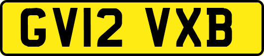 GV12VXB