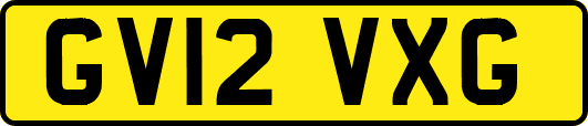 GV12VXG