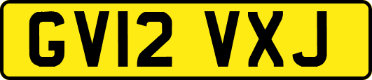 GV12VXJ