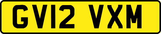 GV12VXM