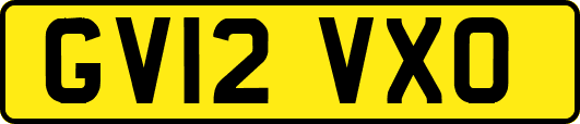 GV12VXO