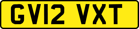 GV12VXT