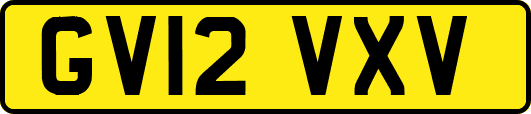 GV12VXV