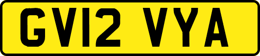 GV12VYA