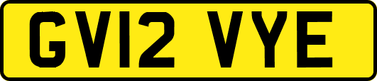 GV12VYE
