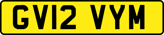 GV12VYM