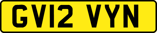 GV12VYN