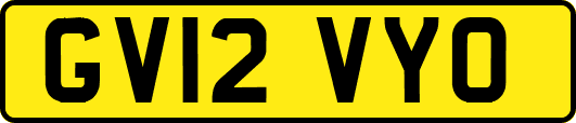 GV12VYO