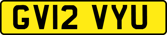 GV12VYU