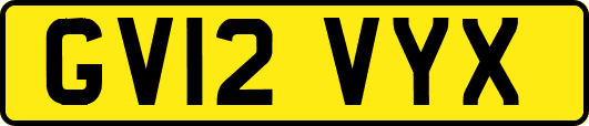 GV12VYX
