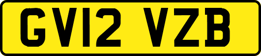 GV12VZB