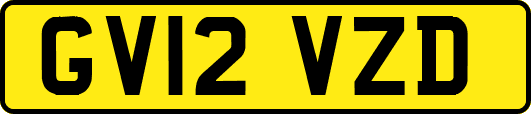 GV12VZD