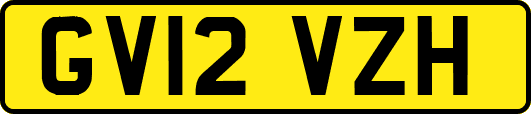 GV12VZH