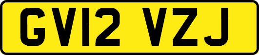 GV12VZJ