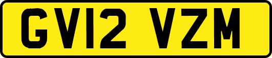 GV12VZM