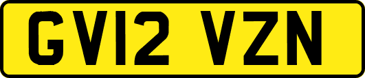 GV12VZN