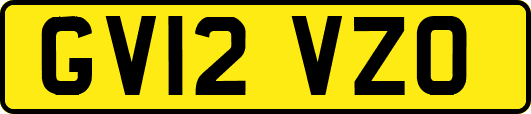 GV12VZO
