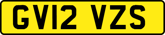 GV12VZS