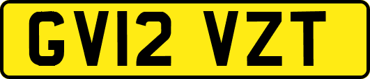 GV12VZT