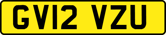GV12VZU