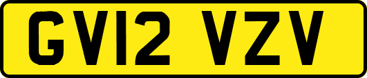 GV12VZV